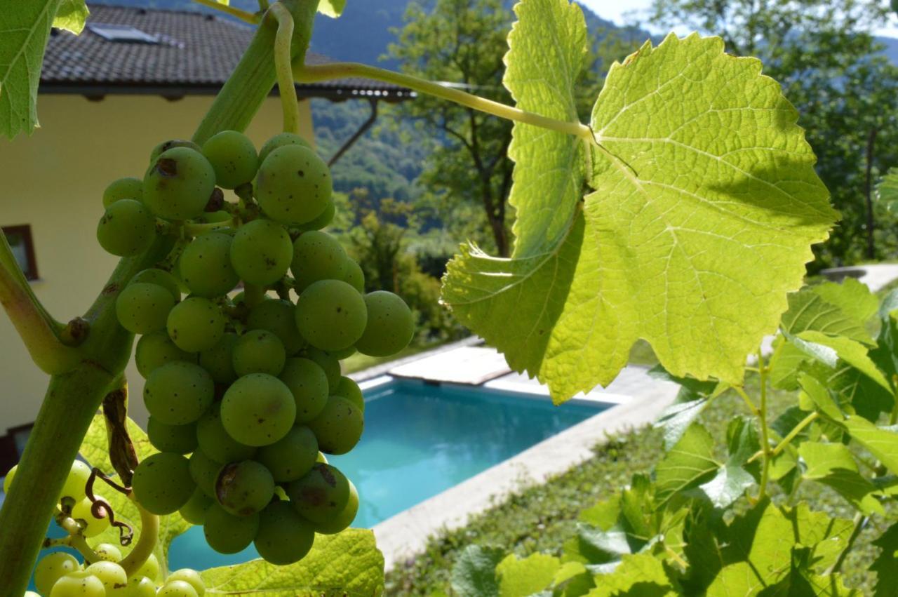 Holiday Home Jelovcerjeva Idrija pri Baci Екстер'єр фото